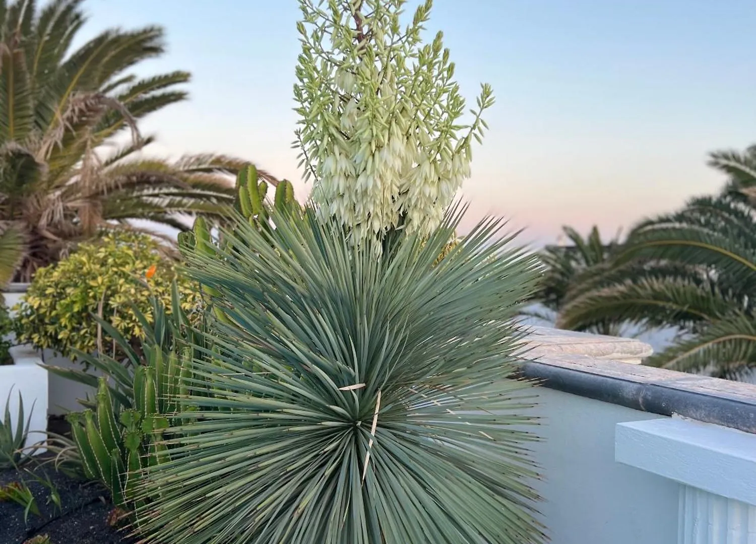 Oasis De Lujo - Luxury Boutique Villa Costa Teguise